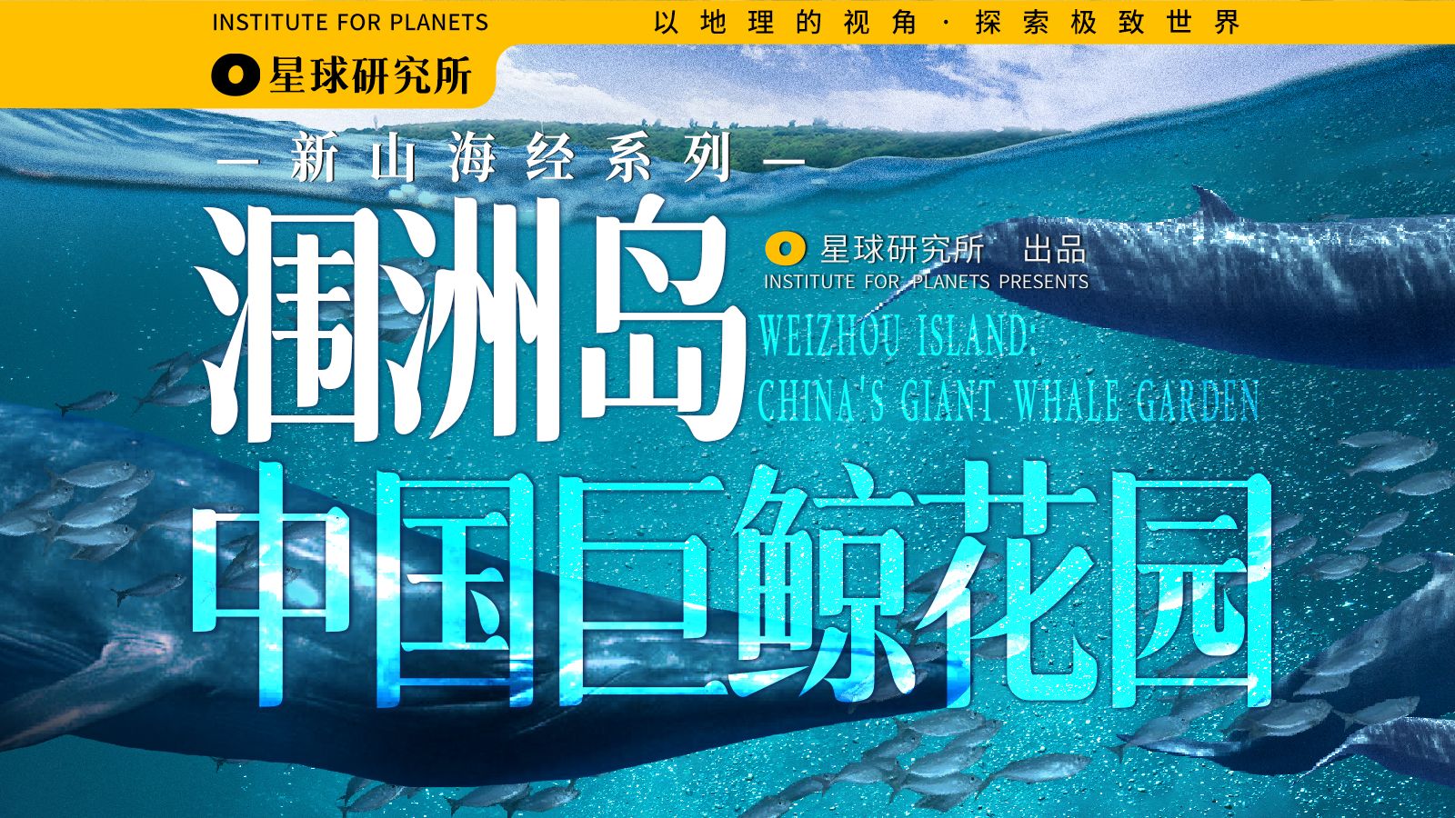 见鲸鱼接好运！在广西涠洲岛，发现中国巨鲸花园【新山海经01】【4K】