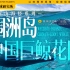 见鲸好运！在广西涠洲岛，发现中国巨鲸花园【新山海经01】