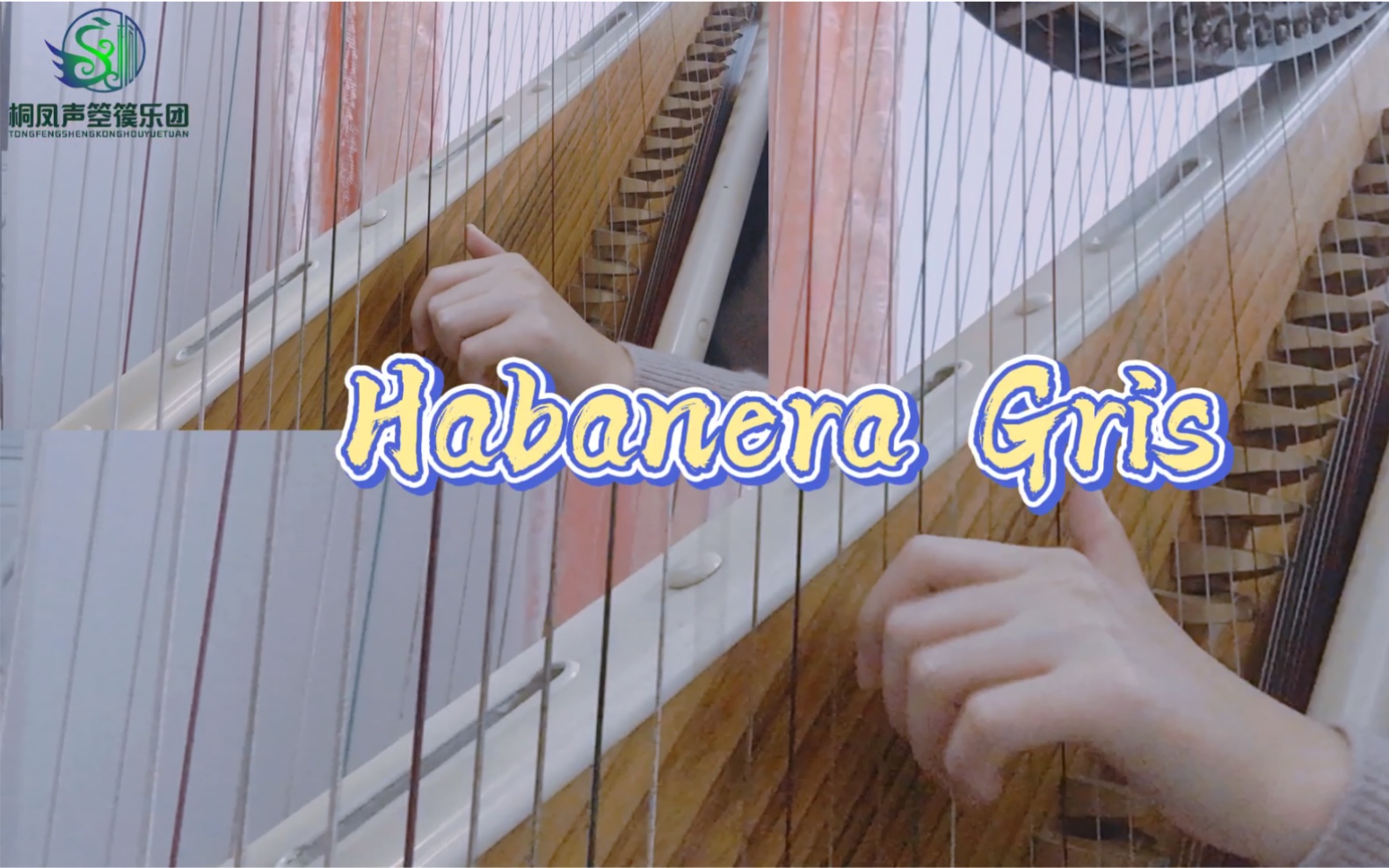 【箜篌二重奏】Habanera Gris