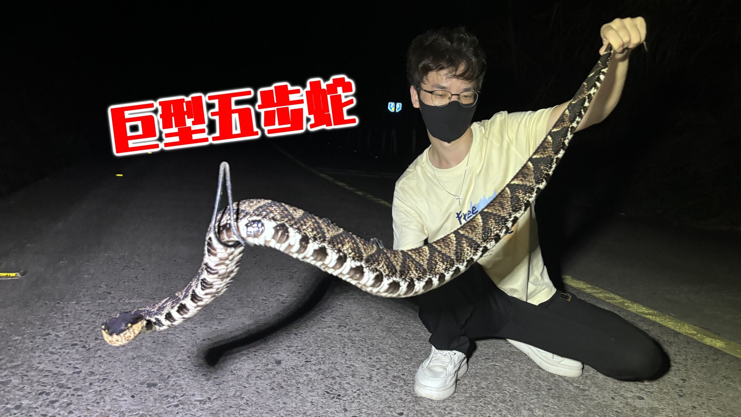 字幕下载