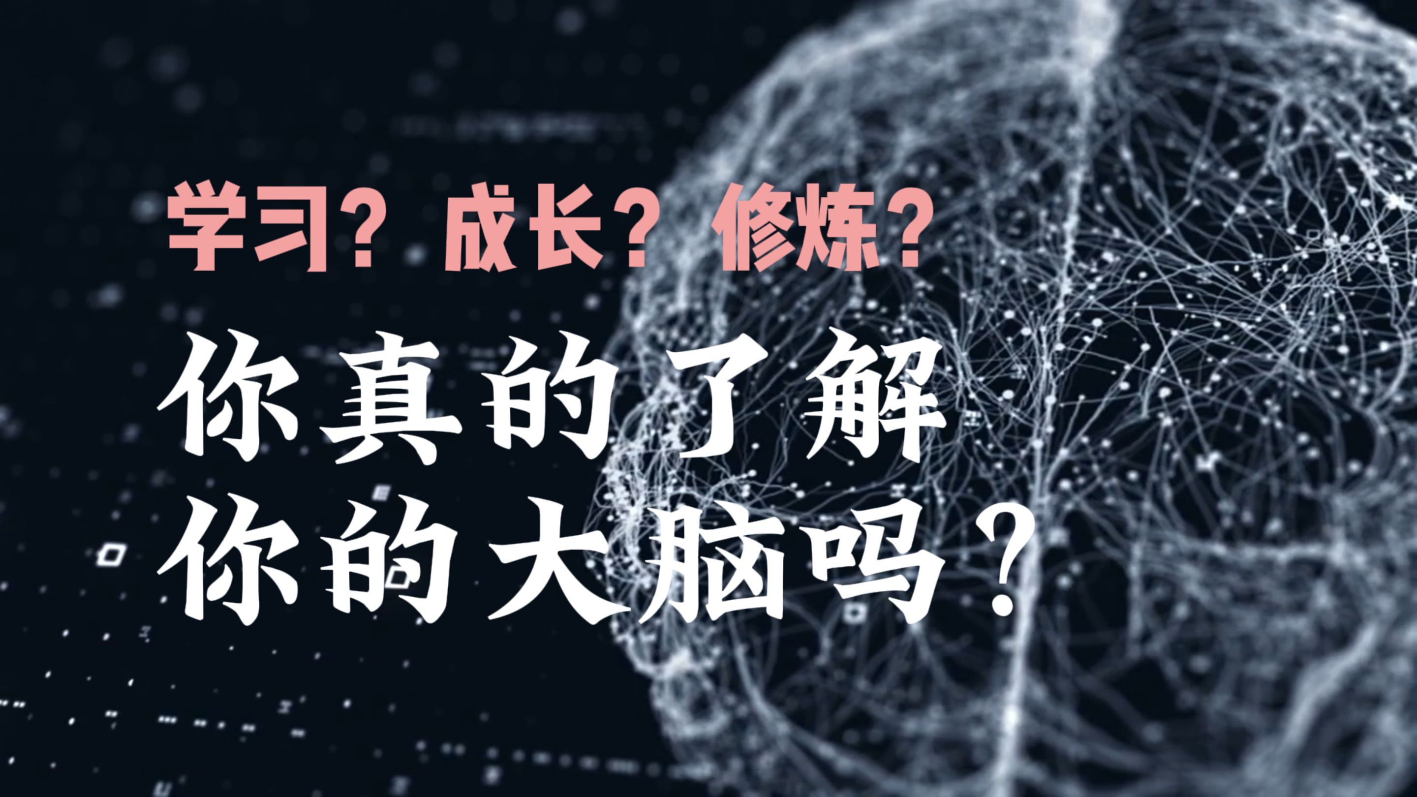 大脑：节俭的预测机器【人性矩阵05】