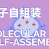 分子自组装|molecular self-assembly（中英字幕）