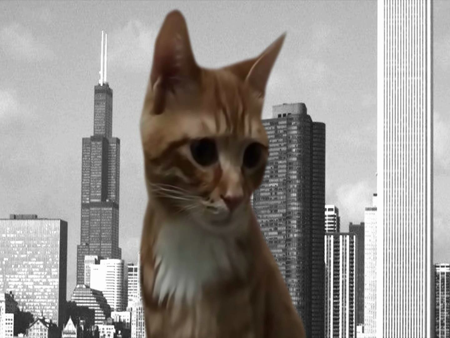 🐱GTA4主题曲，但是哈基米🐱