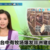 【TVB翡翠台】早晨报道:台湾台中有牧场爆发非洲猪瘟 及日本禽流感资讯