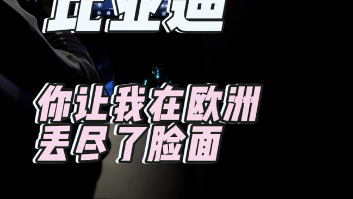 比亚迪，你让我在欧洲丢尽了脸面。。