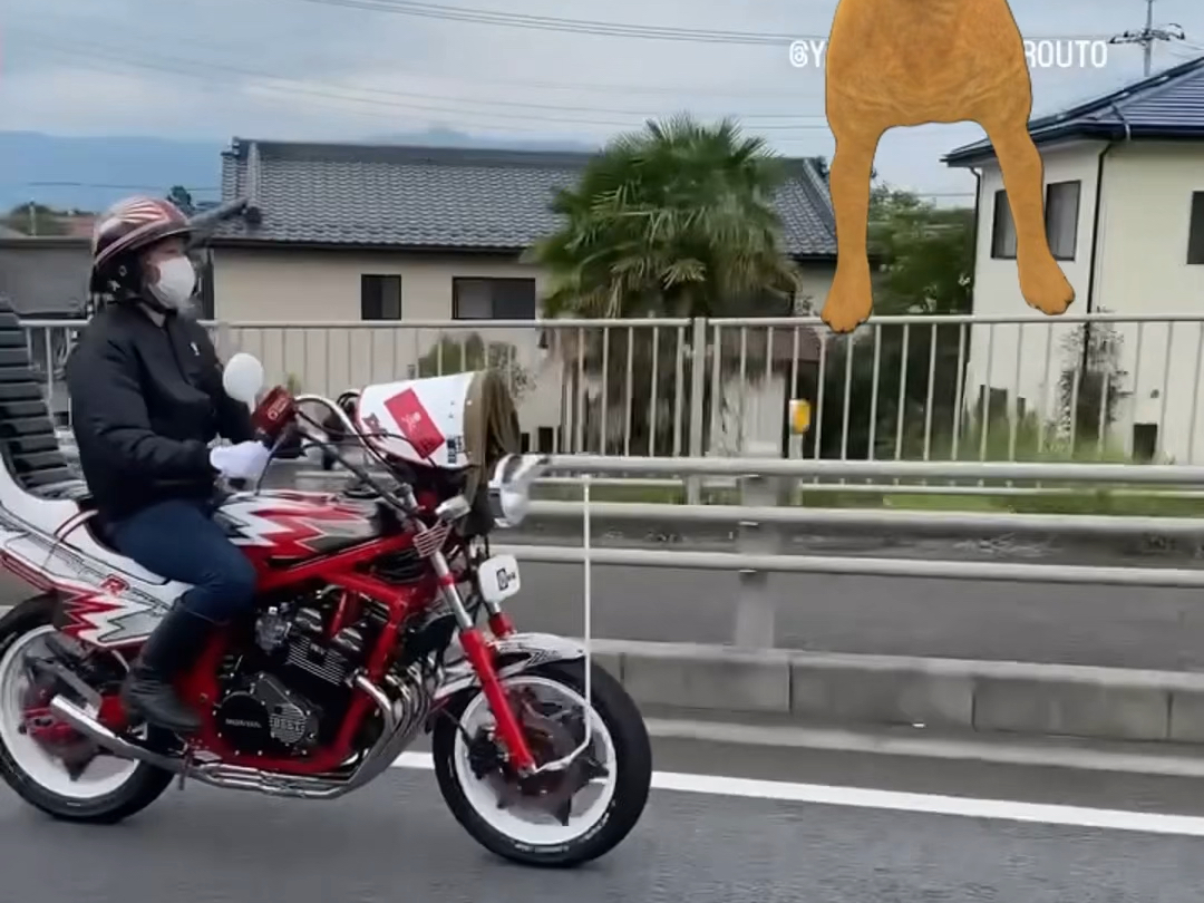 Nichiru's delivery is perfectly fine.