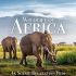 【4k】非洲野生动物 - 绝美自然风景休闲放松影片