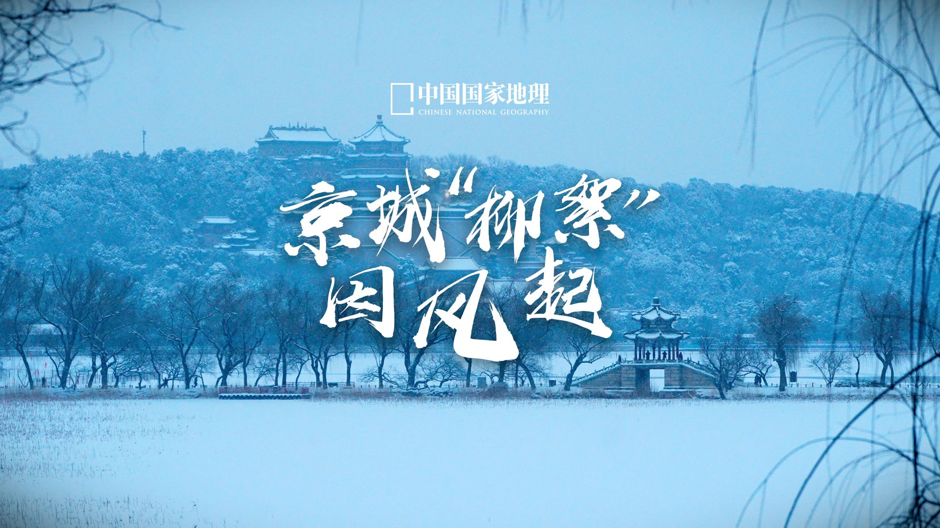 “未若柳絮因风起”在北京这场大雪中具像化了！