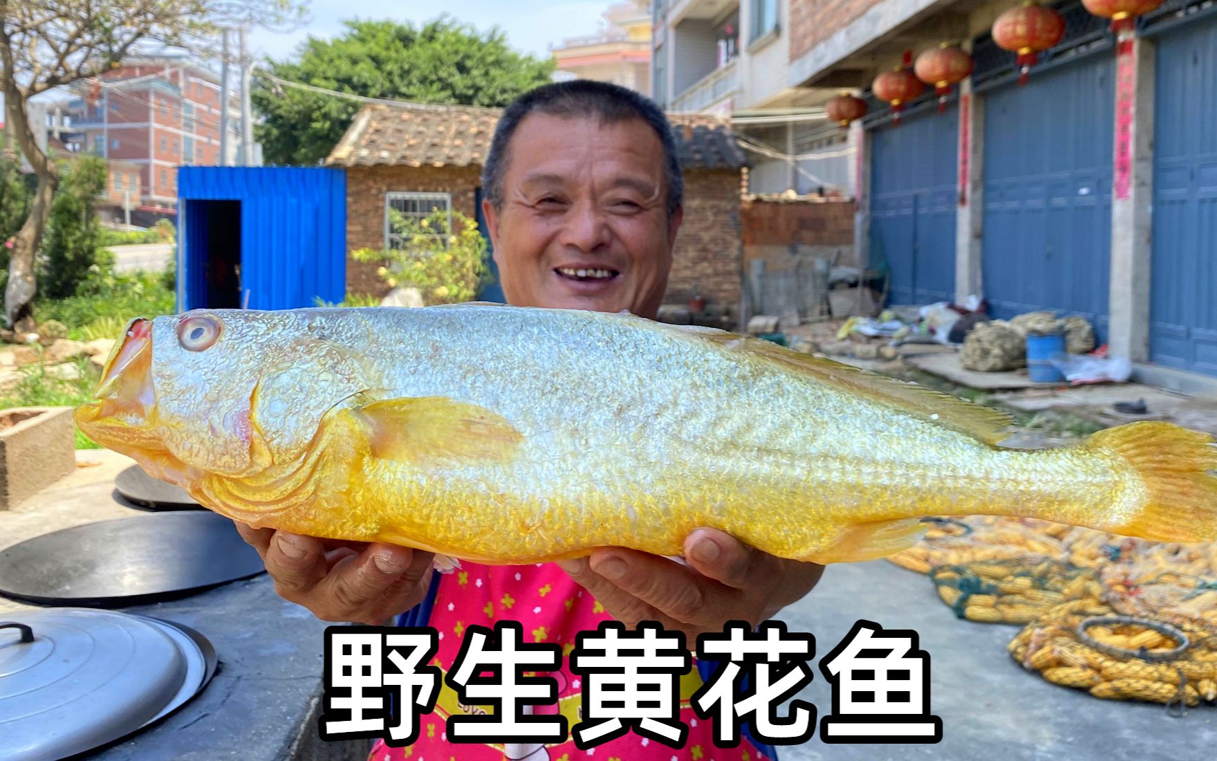 价值18000的野生黄花鱼，堪比金条，阿胖山拍摄以来最贵的鱼