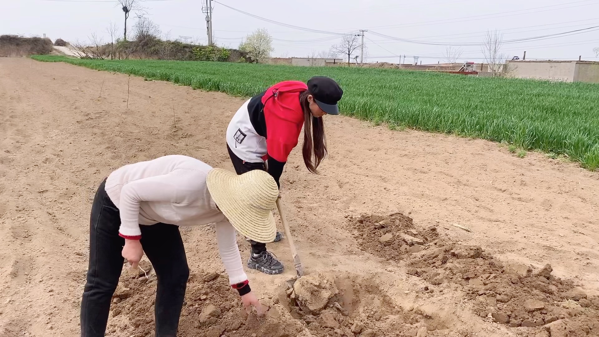 女大学生回农村种地别人都说我是在演戏你们看我这样子像是在演戏吗