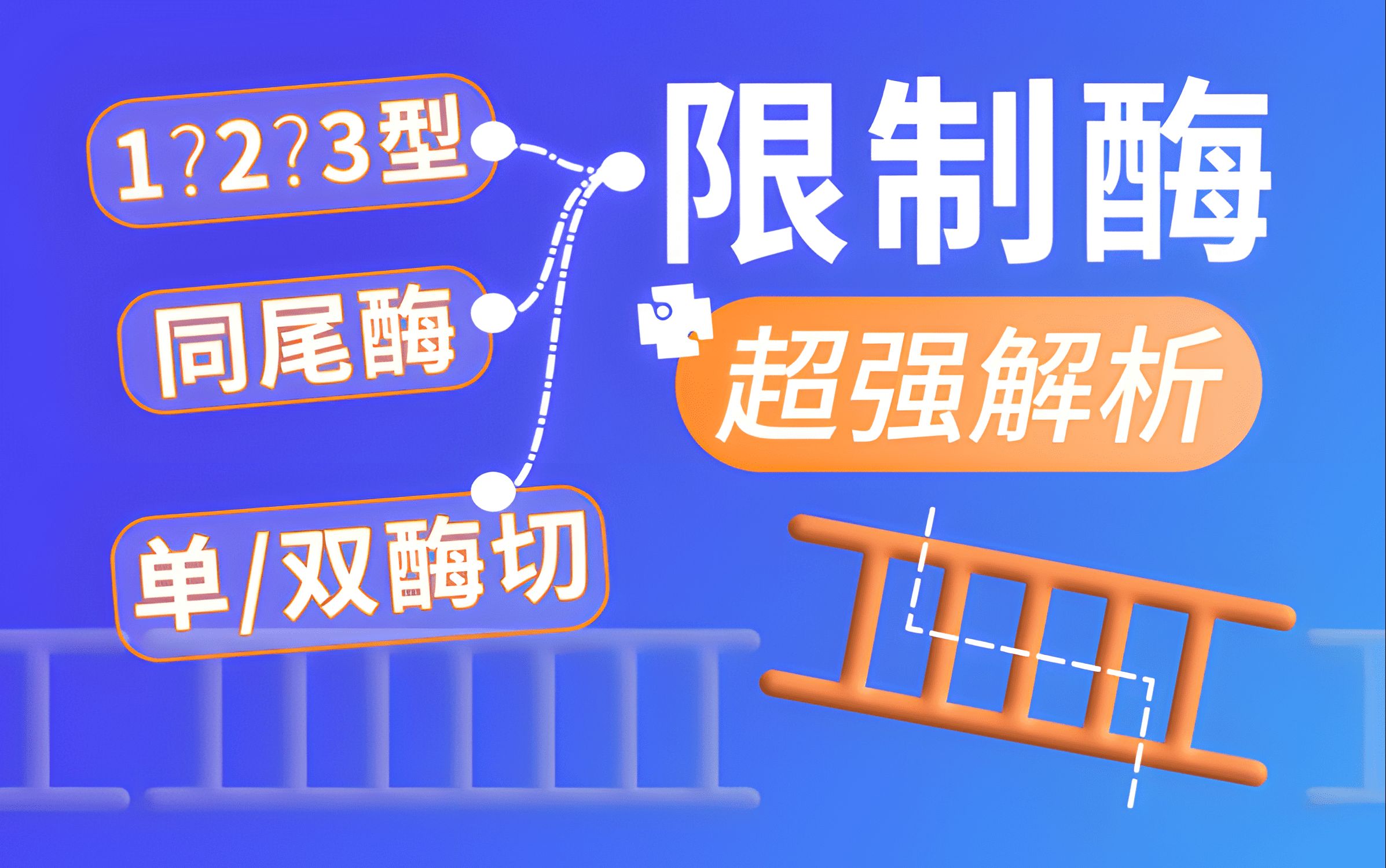 【高中生物】基因工程：限制酶类型？同尾酶？基因重组？