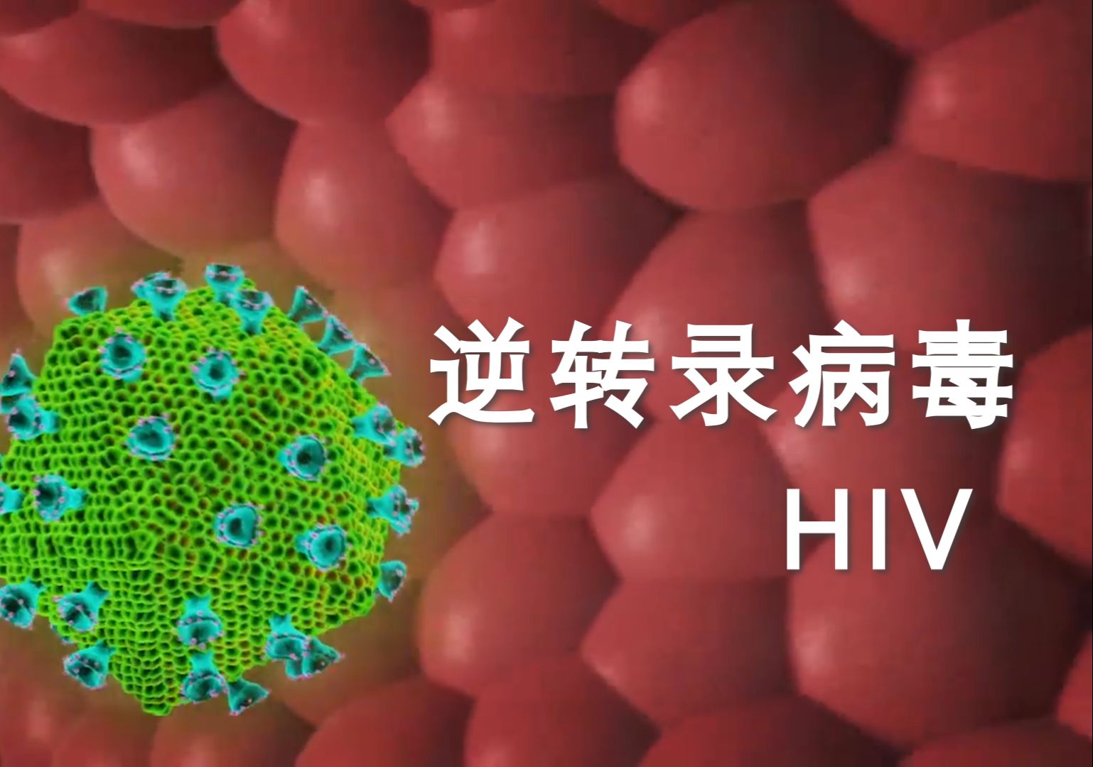 逆转录病毒：HIV感染细胞的过程