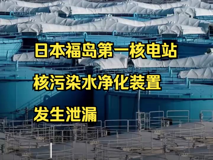 日本福岛第一核电站核污染水净化装置发生泄漏