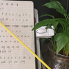汉语拼音教学视频完整版字母表发音朗读