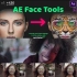 AE变脸插件AE Face Tools安装教程！手把手教你完美安装！