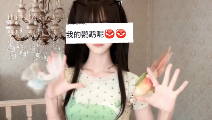这边也发一下