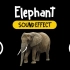 大象 叫声 动物 音效 (HQ)