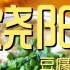 饶阳豆腐脑 厨子探店 ¥40