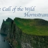 单人徒步80km Solo冰岛Hornstrandir｜带你去到世界尽头看一看欧洲最后的荒野