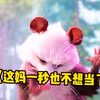 我是萝莉宝莉是上一窝的