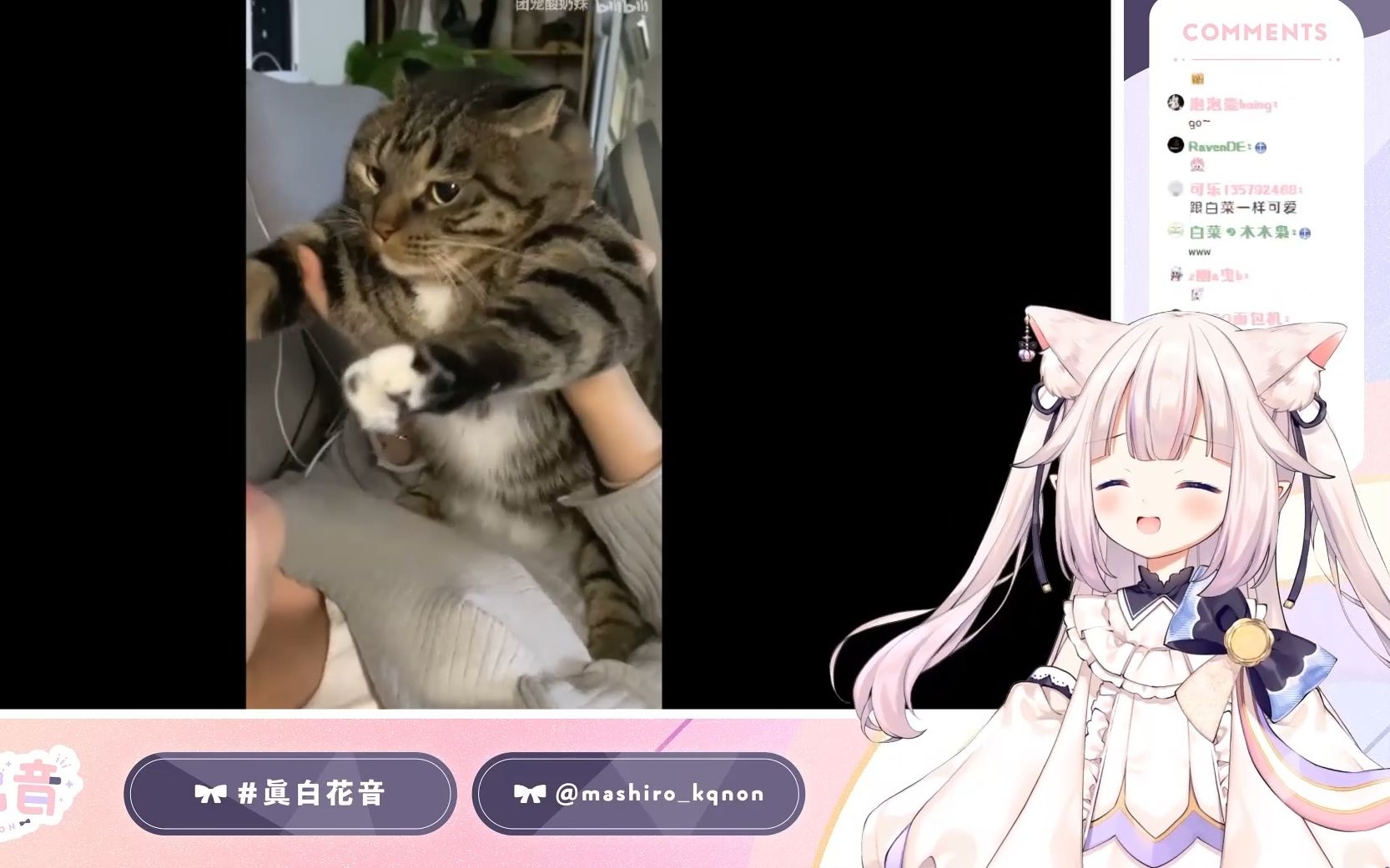 日本萝莉看石矶娘娘吸卷宝猫猫 笑个不停