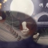 【古筝】明月天涯（古筝重奏）【2017民乐演奏】