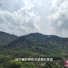 家族伦理，父母愚昧照成兄妹乱伦