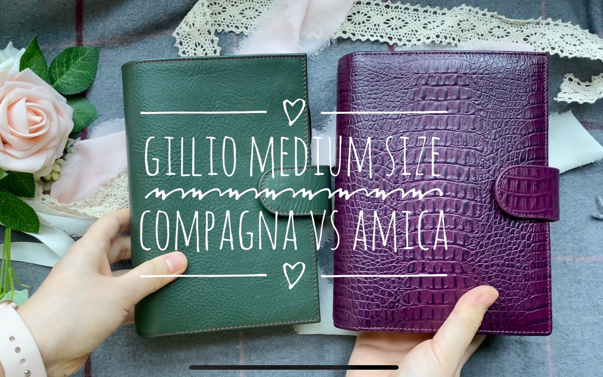 GILLIO Compagna vs Amica对比视频哔哩哔哩bilibili