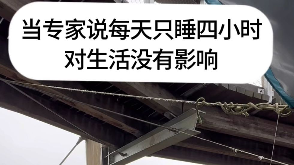 听砖家说每天只睡四个小时对生活没有影响