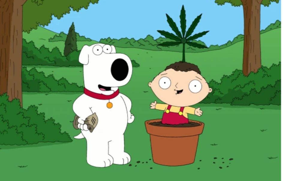 《Brian教你如何小麻合法化》