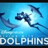 [国家地理频道] 与海豚同游 Diving with Dolphins