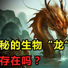 传说中的龙真的存在吗？为何中国人自称龙的传人？详解龙的来历