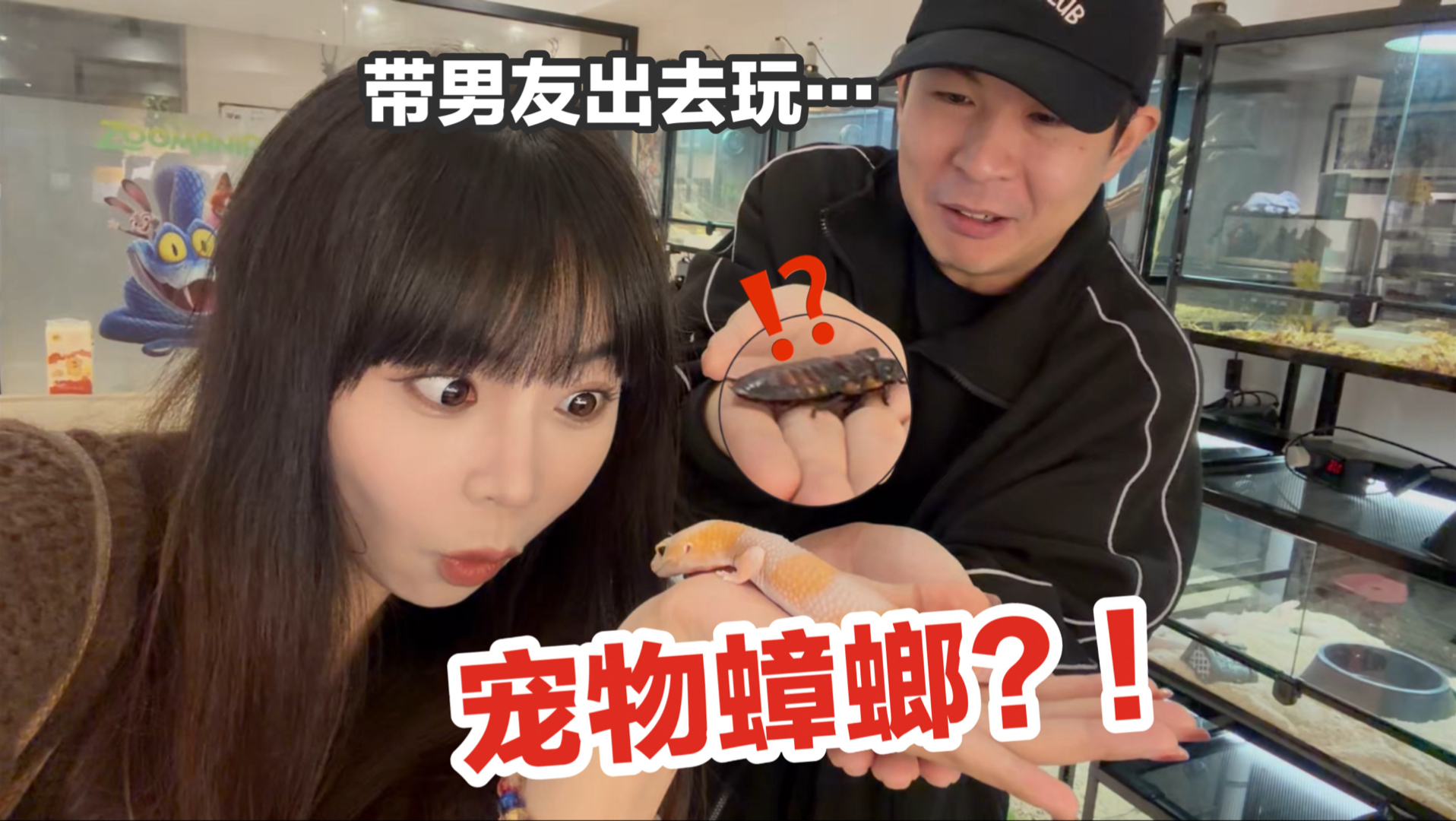 故意带嘴硬男友去外面撸宠物蟑螂…他差点被双马尾吓哭！
