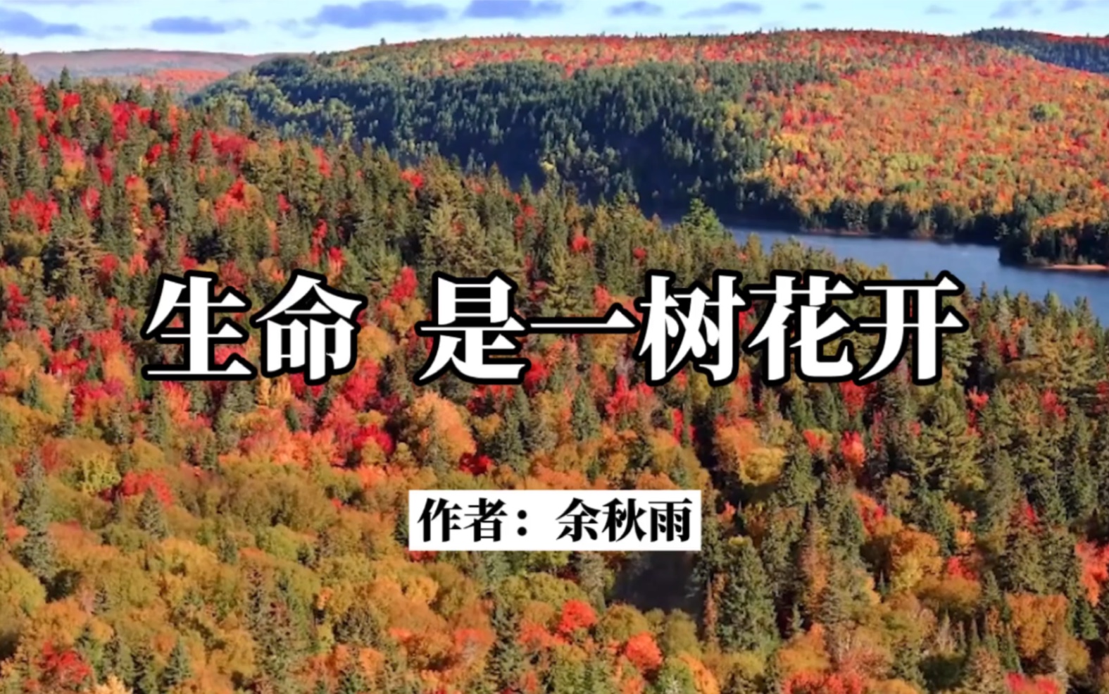《生命 是一树花开》余秋雨