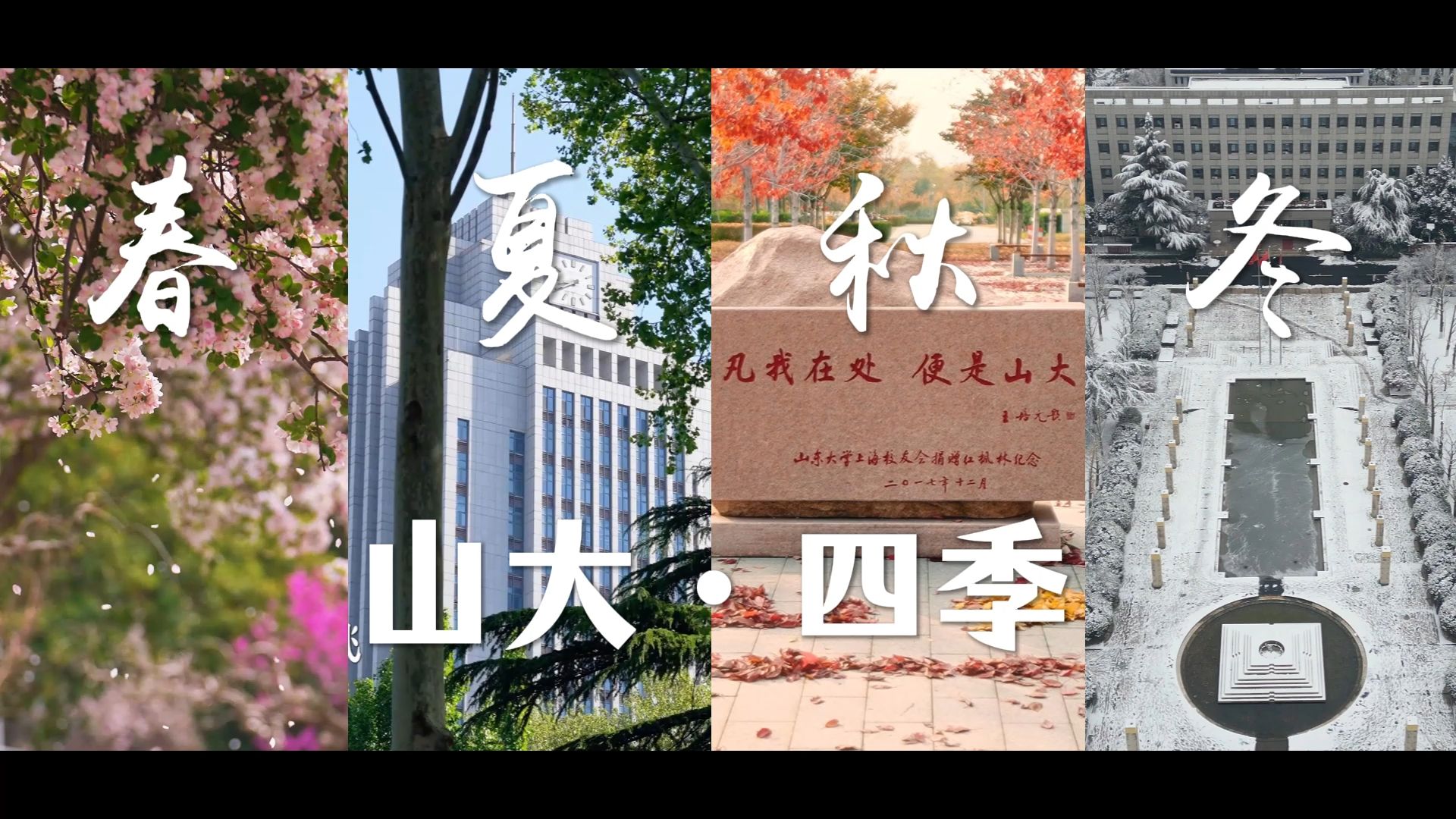 岁序更替，晖光日新。四季轮转间，山大校园的风华之美，早已镌成我们记忆里最独特的注脚。