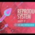 【10分钟速成课：解剖与生理】第42集 - 生殖系统 part 3 性与受精