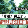 青瓜黄瓜傻傻分不清？看完视频你就知道了
