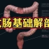 人体解剖基础：大肠是如何走行和命名的？医生讲解！