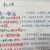 【七年级语文暑假预习】笨鸟先飞计划！偷偷努力卷飞全班，开学降维打击！课文逐句精讲+考点突破