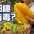 【水果猎人】早期的杨桃不好吃，如今的杨桃好吃却不能多吃，为什么？