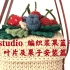 【手工编织】FZF studio 编织浆果篮子教程 叶片及果子安装完结篇