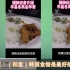 油管评论：韩国平昌冬奥早餐被挖出，大米饭管饱！