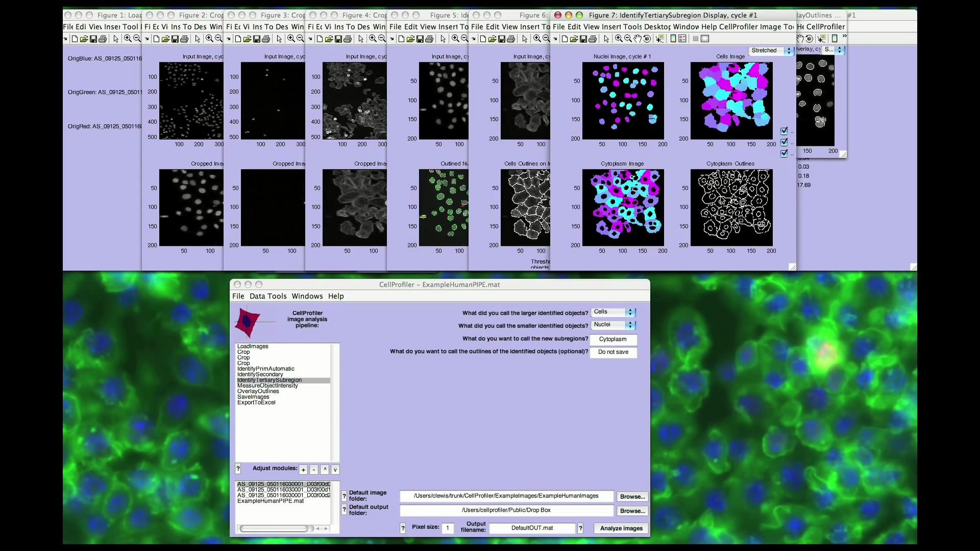 cellprofiler imagej