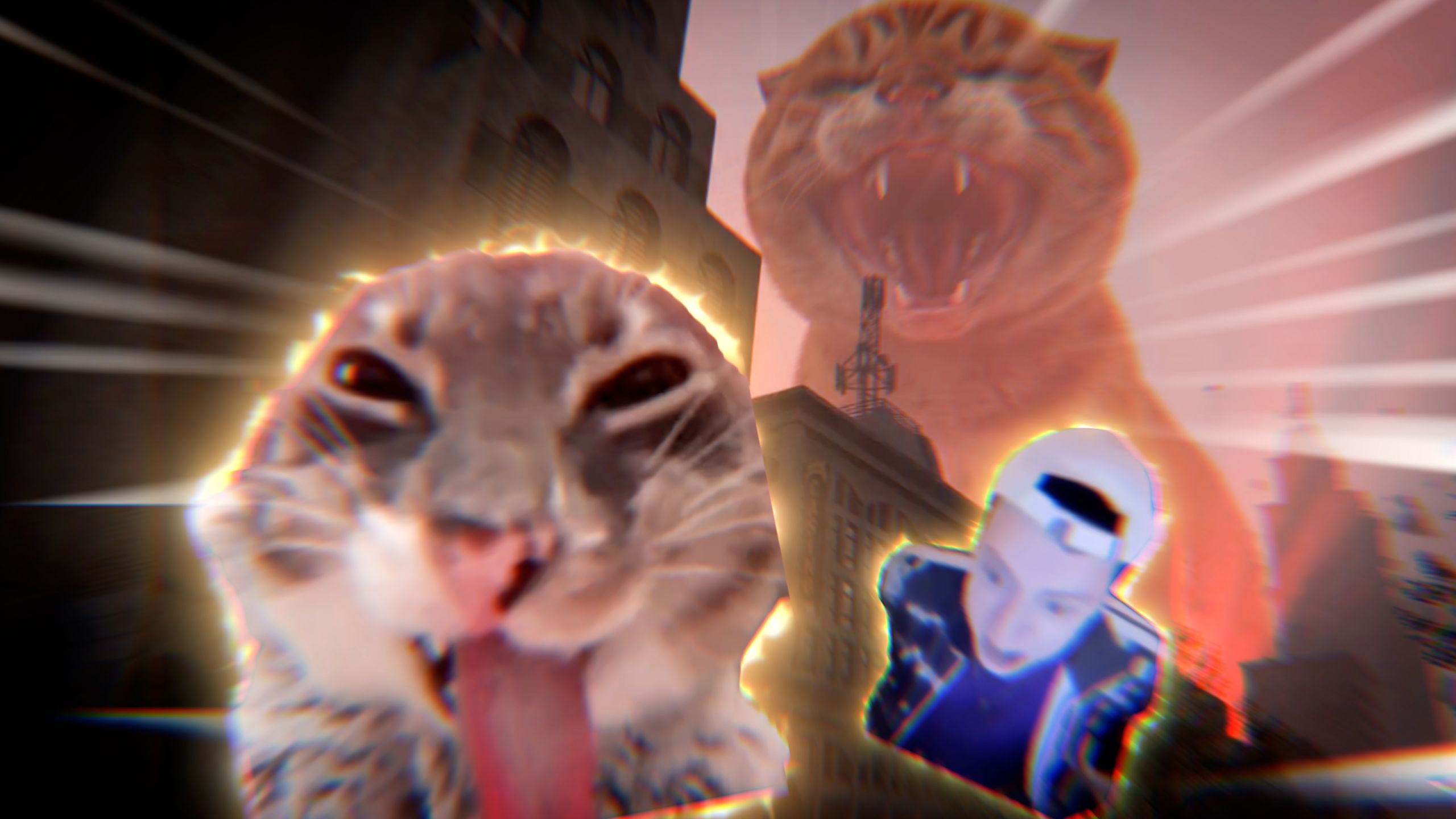 “这 是 只 啥 猫？？？🐱”
