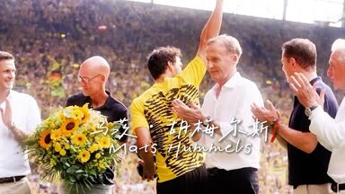 【在你的身边】告别•<em class="keyword">胡梅尔斯</em>