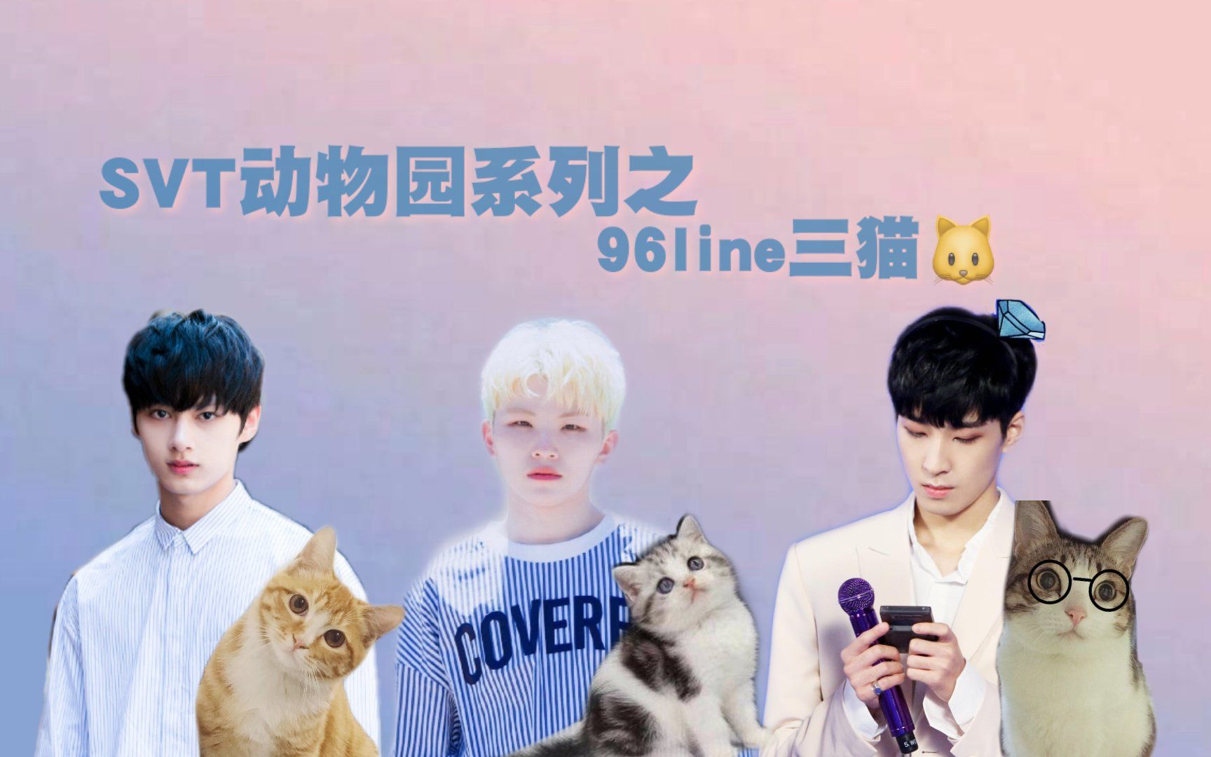 Seventeen 伪养猫指南 W 点击收看up单口相声 哔哩哔哩 Bilibili
