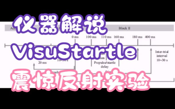 上海欣软VisuStartle大小鼠震惊反射实验系统的详细解说