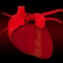 C4D+AE：Heart Beat_《心脏跳动》
