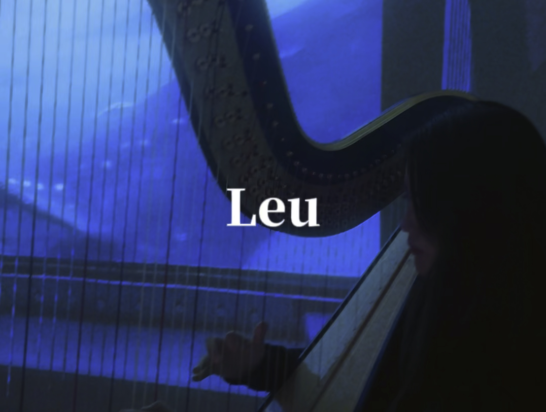 竖琴 Leu