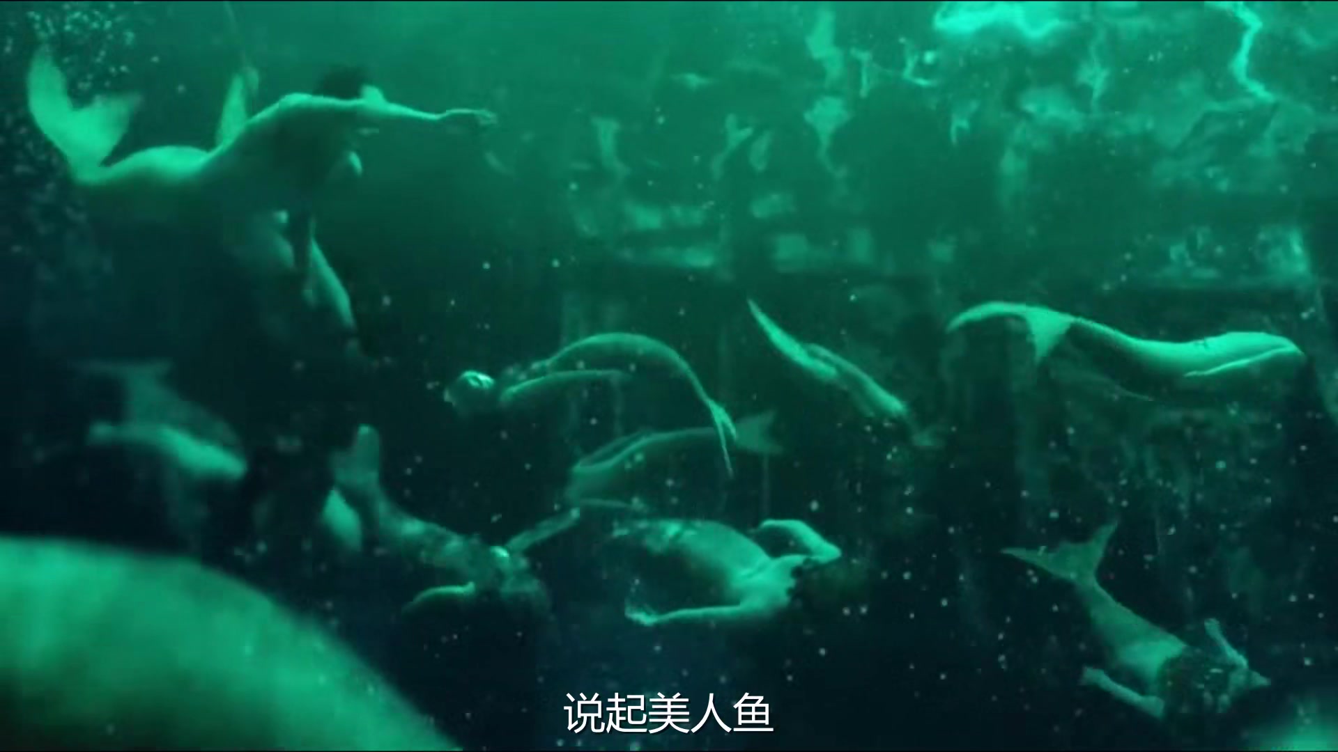 自然志之美人鱼